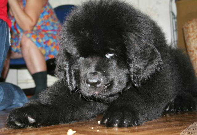 Фотография № 38029