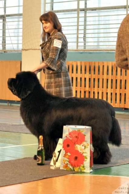 Фотография № 38034