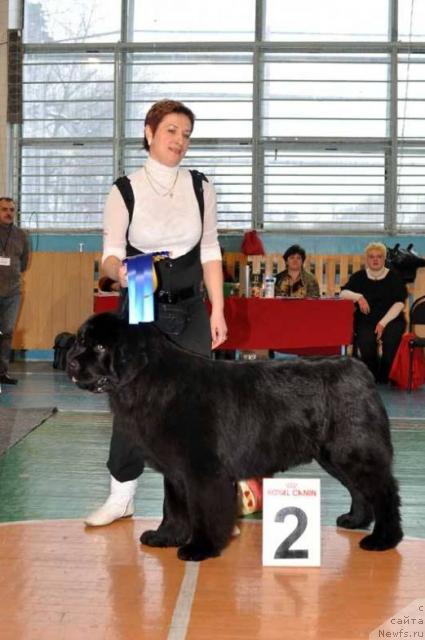 Фотография № 38035