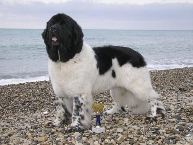 Фотография № 3805