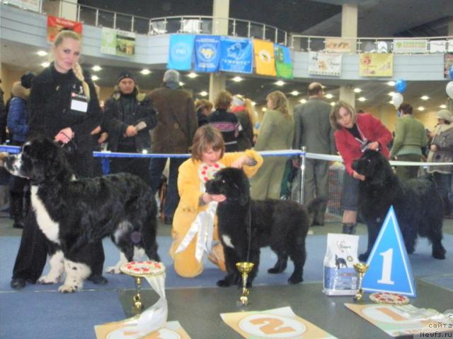 Фотография № 38070