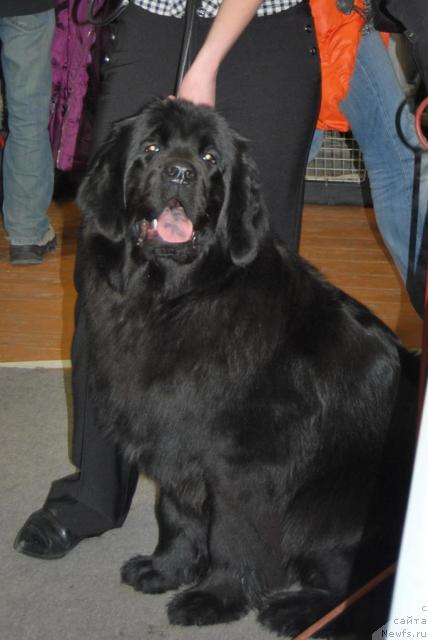 Фотография № 38077