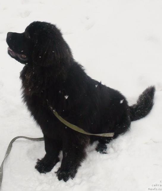 Фотография № 38098