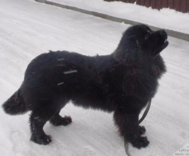 Фотография № 38099