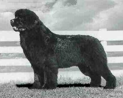 Фотография № 381