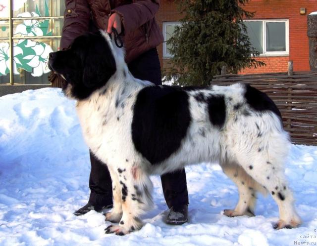 Фотография № 38111