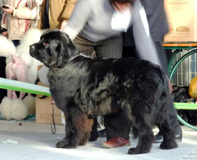 Фотография № 38113