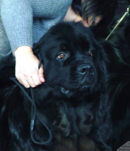 Фотография № 38115