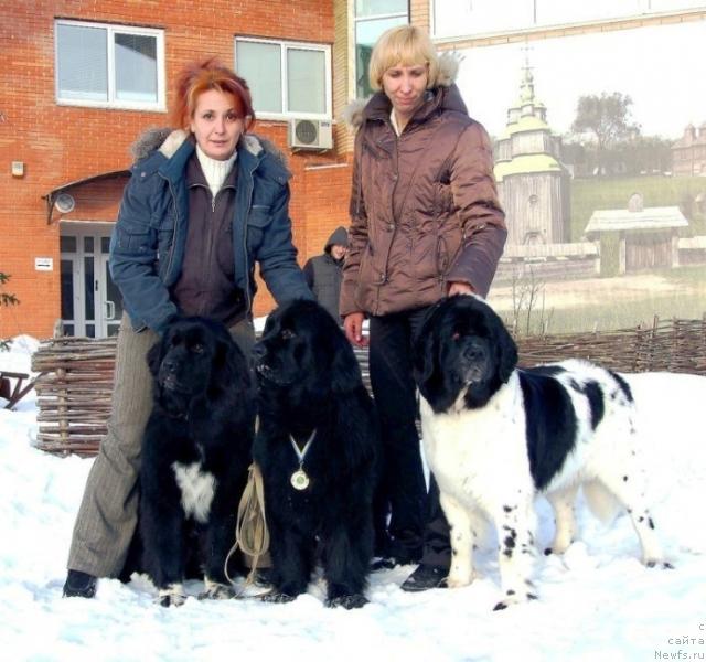 Фотография № 38116