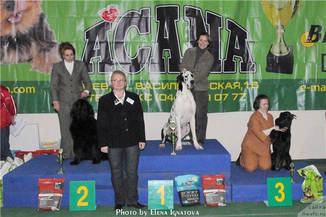 Фотография № 38117