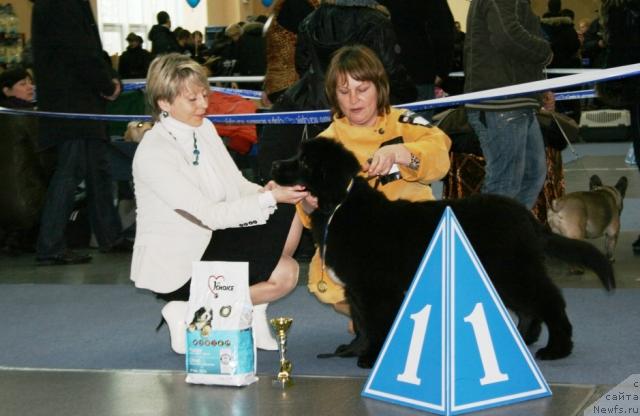 Фотография № 38120