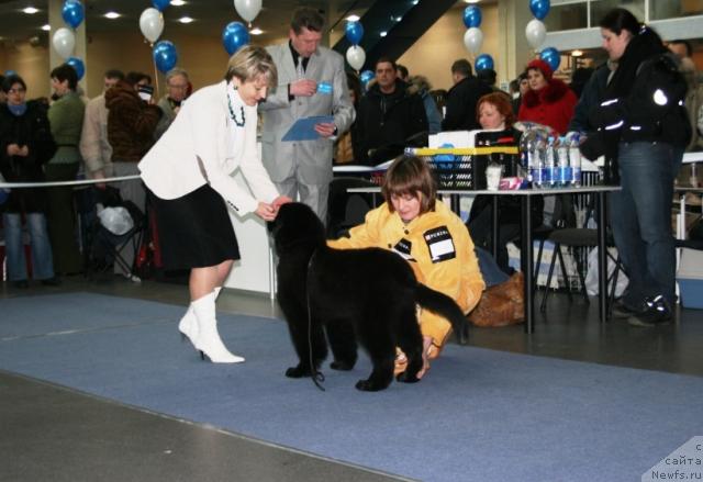 Фотография № 38121