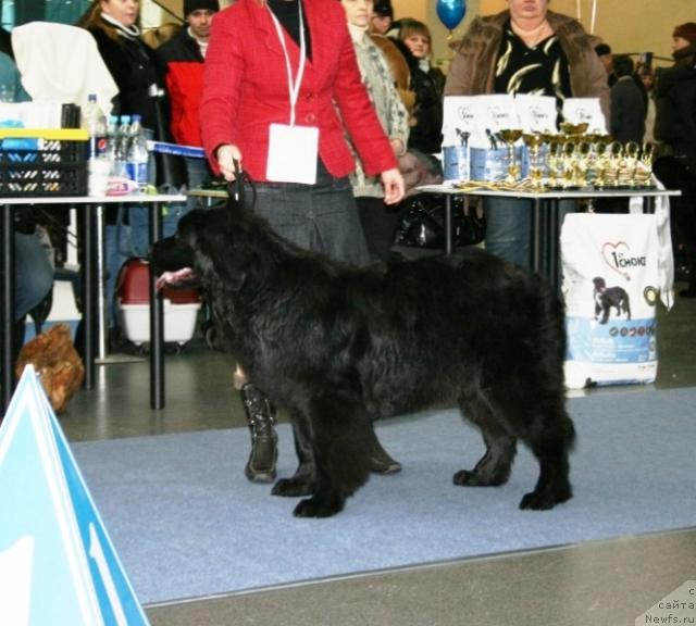 Фотография № 38122