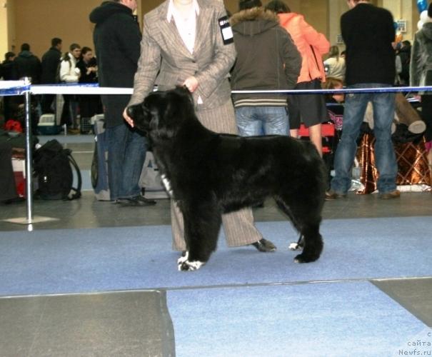 Фотография № 38124