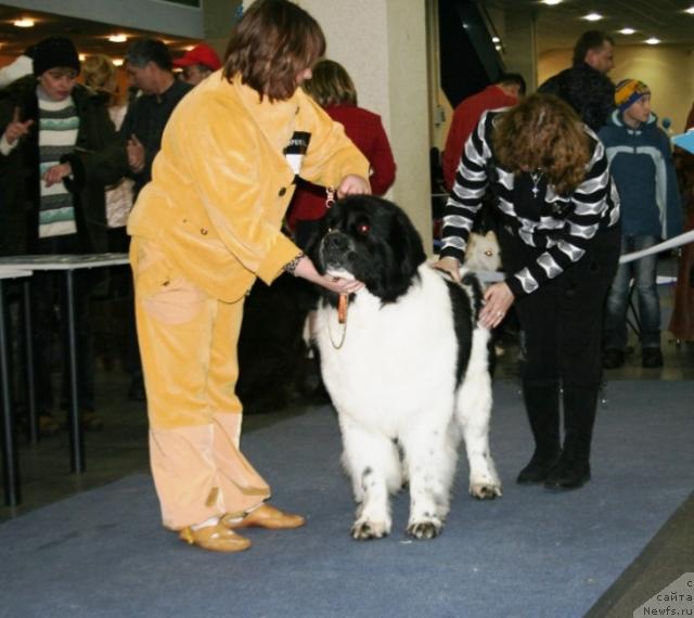 Фотография № 38125