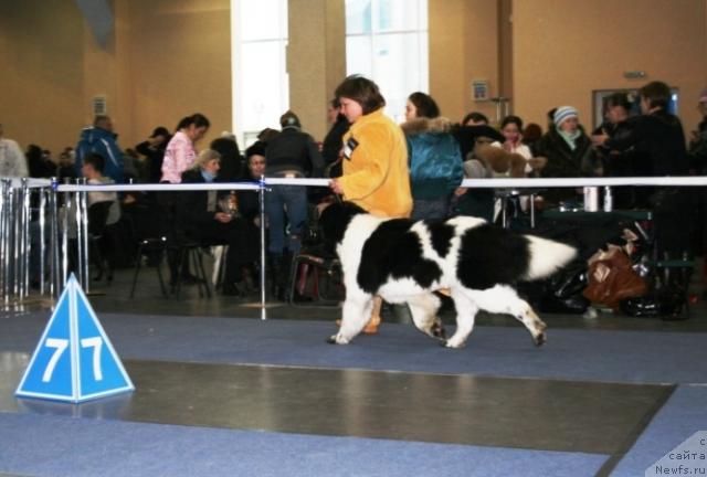 Фотография № 38126