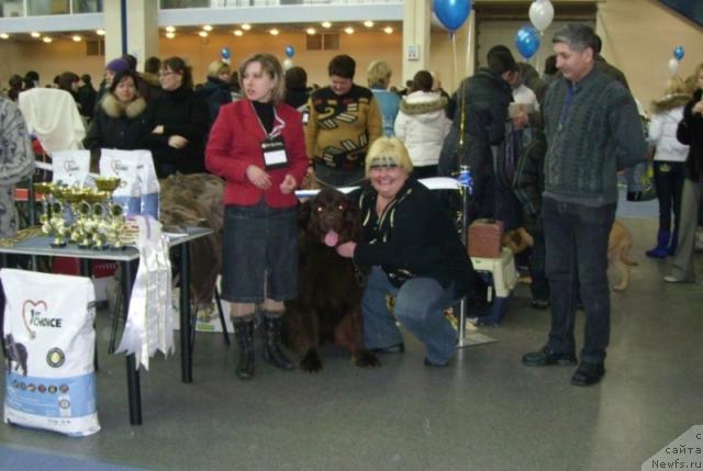 Фотография № 38128