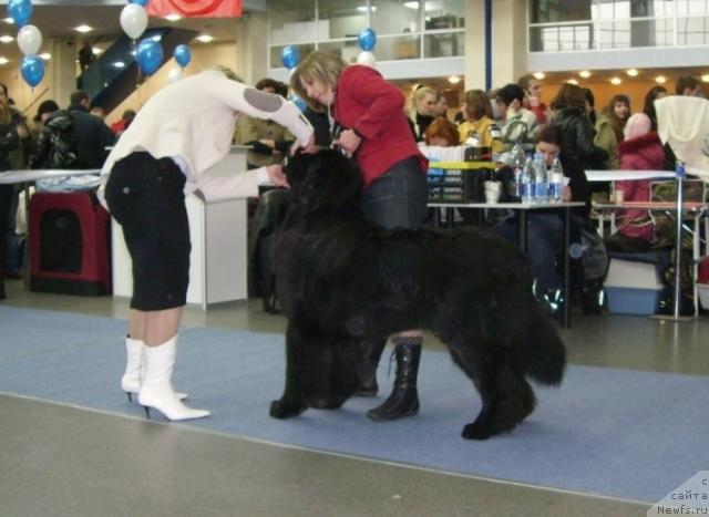 Фотография № 38130