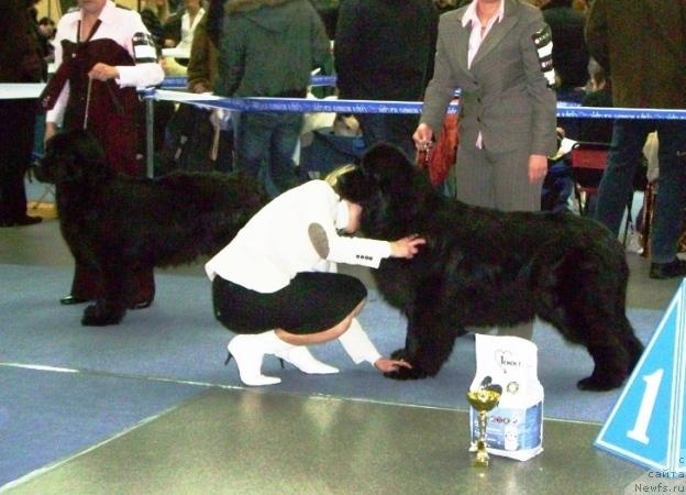 Фотография № 38138