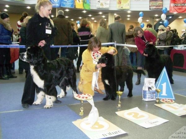 Фотография № 38140