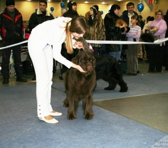 Фотография № 38141