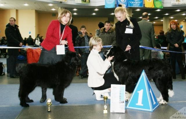 Фотография № 38146