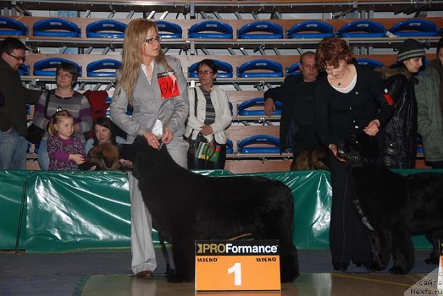 Фотография № 38152