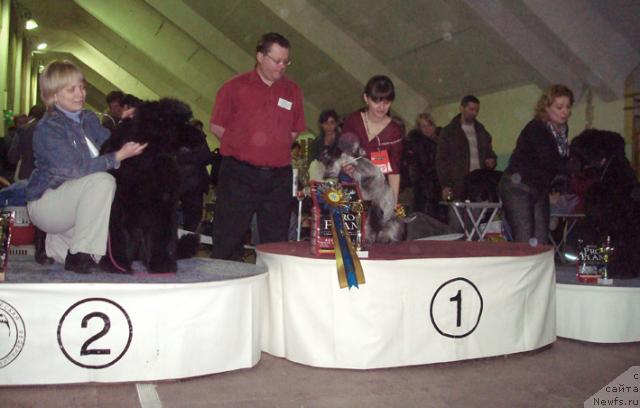 Фотография № 38163