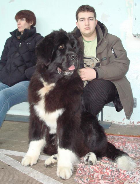 Фотография № 38165