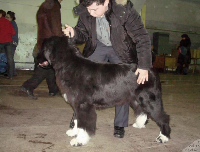 Фотография № 38167