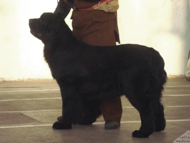 Фотография № 38170