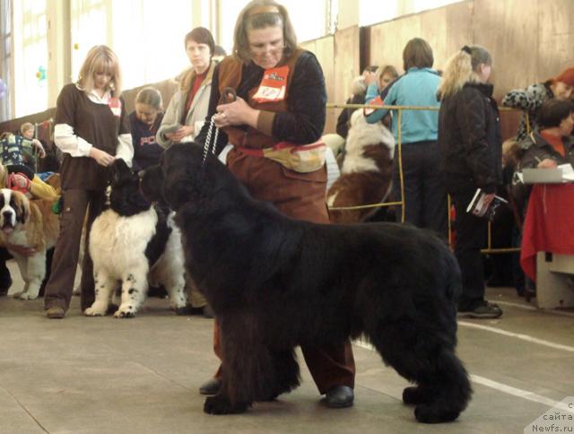 Фотография № 38171