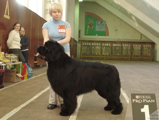 Фотография № 38174