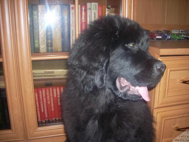 Фото: Irina Javoronkova (Ирина Жаворонкова)