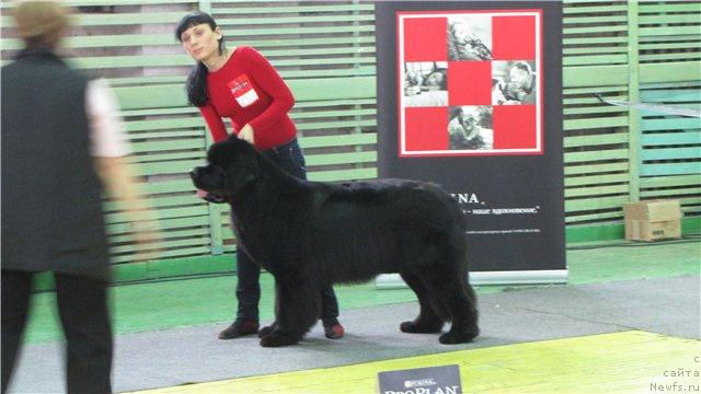 Фотография № 38217