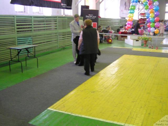 Фотография № 38219