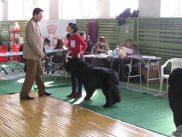 Фотография № 38223