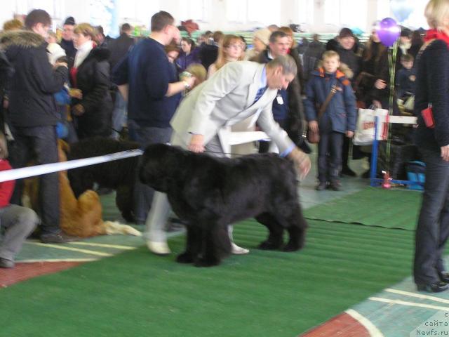 Фотография № 38224