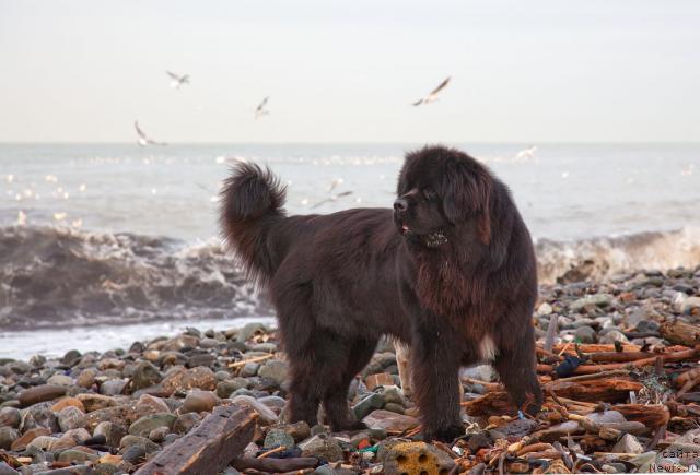 Фотография № 38239