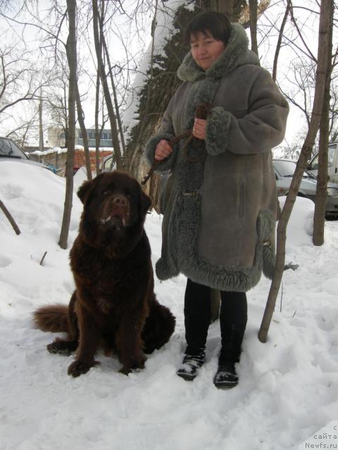 Фотография № 38245