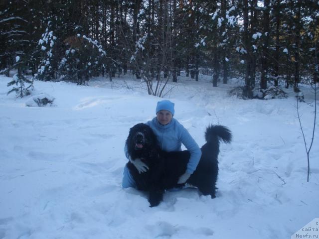 Фото: ньюфаундленд YEra Grand Lyuks CHelesta (Эра Гранд Люкс Челеста)