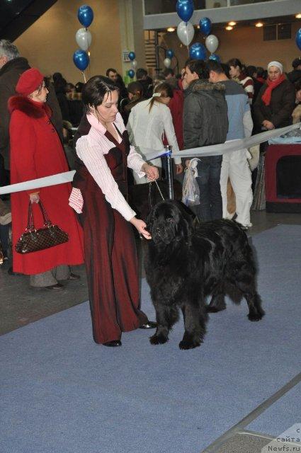 Фотография № 38274