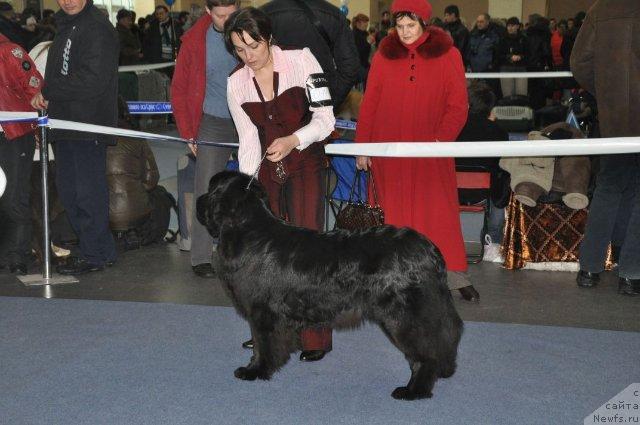 Фотография № 38277