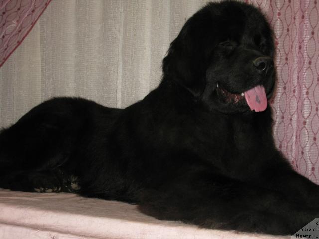 Фотография № 38318