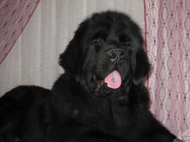 Фотография № 38320