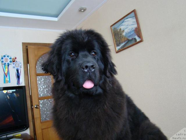 Фотография № 38328