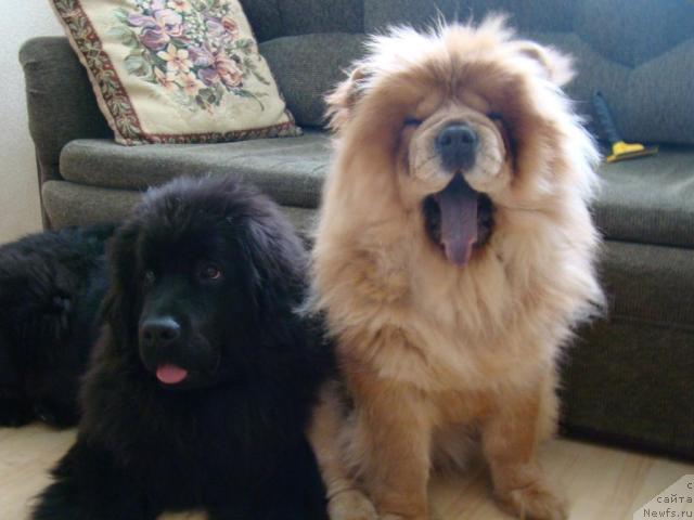 Фотография № 38368