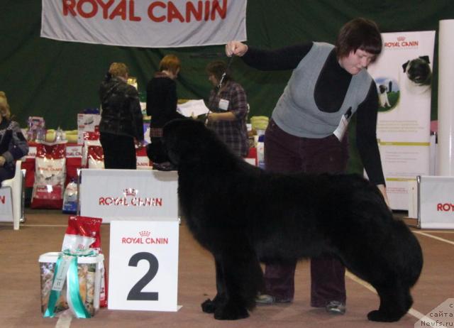 Фотография № 38391