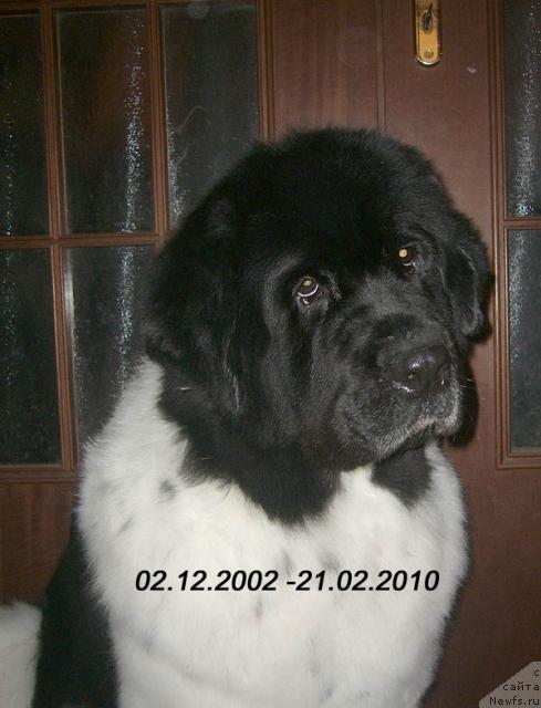 Фотография № 38395