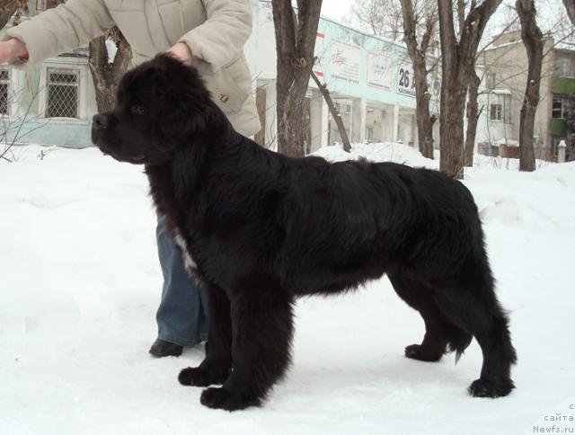 Фотография № 38512